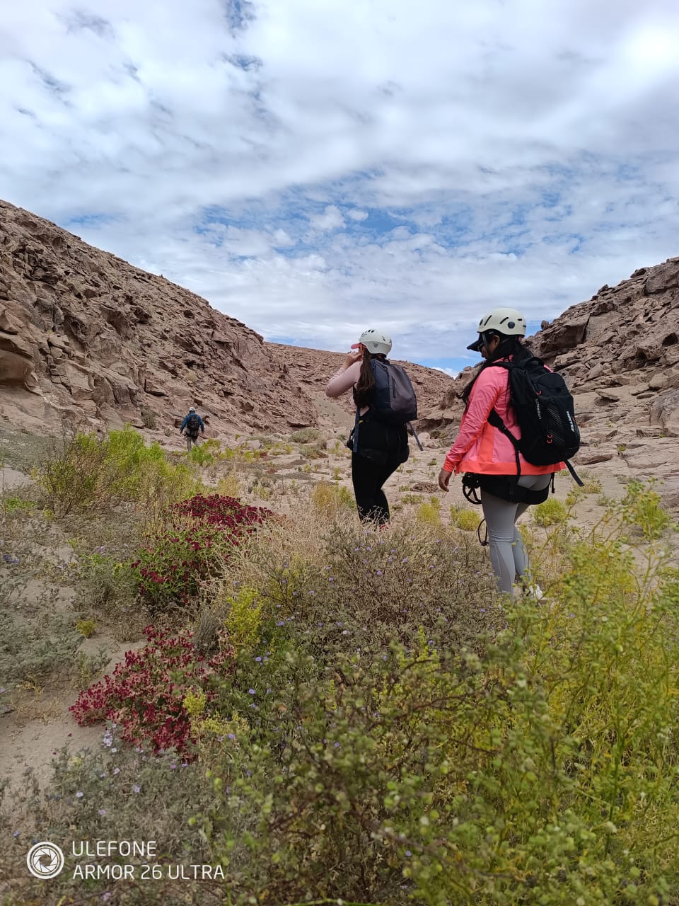 TRAVESIA QUEBRADA ROJA - PICA